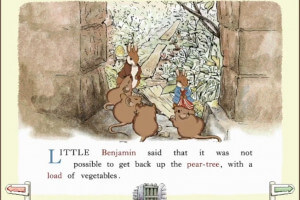 The Adventures of Peter Rabbit & Benjamin Bunny 1